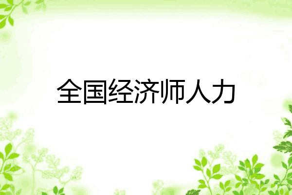 全国经济师人力