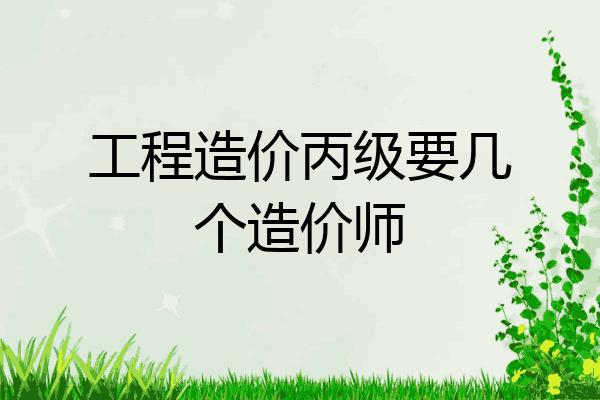 工程造价丙级要几个造价师