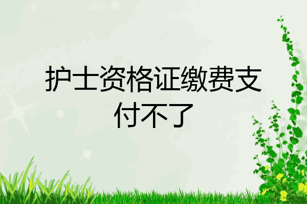 护士资格证缴费支付不了
