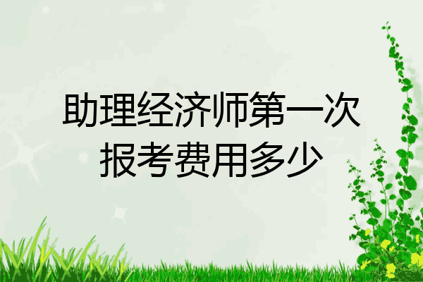 助理经济师第一次报考费用多少