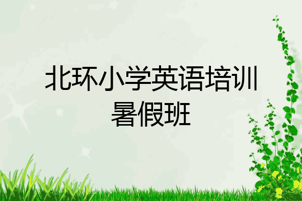 北环小学英语培训暑假班