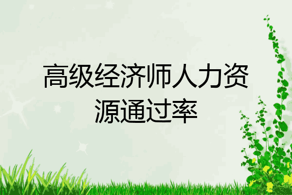 高级经济师人力资源通过率