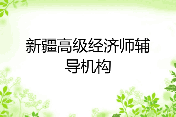 新疆高级经济师辅导机构