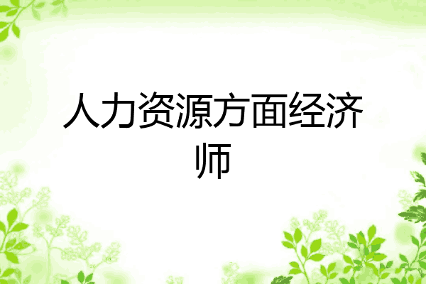 人力资源方面经济师
