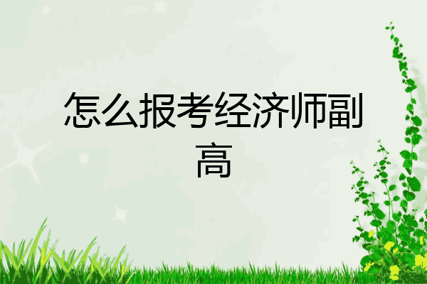 怎么报考经济师副高