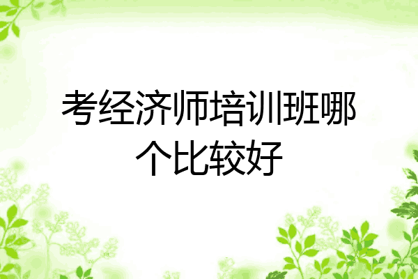 考经济师培训班哪个比较好