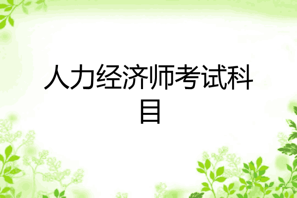 人力经济师考试科目