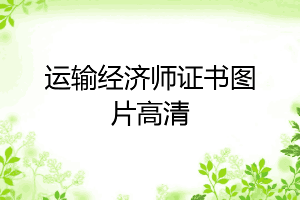 运输经济师证书图片高清