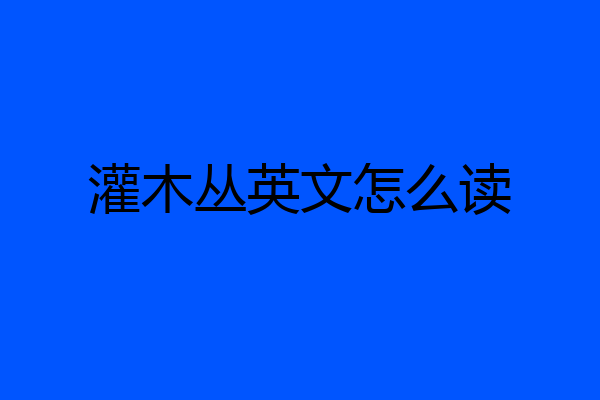 灌木丛英文怎么读