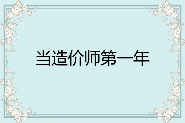 当造价师第一年