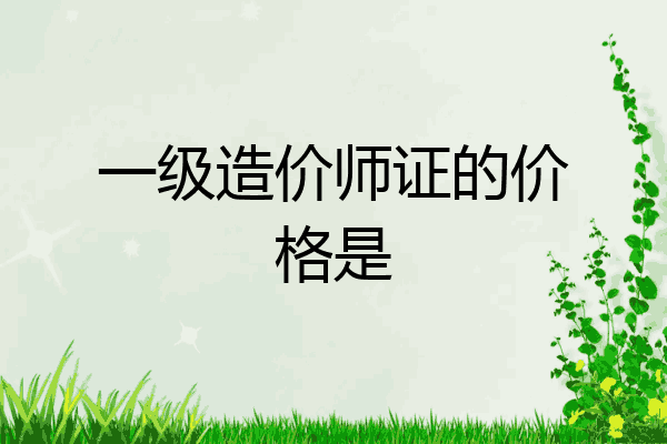 一级造价师证的价格是