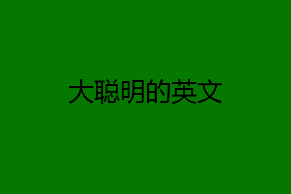 大聪明的英文