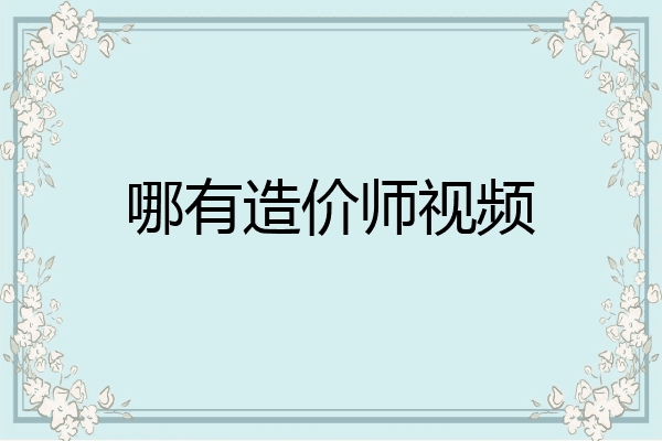 哪有造价师视频