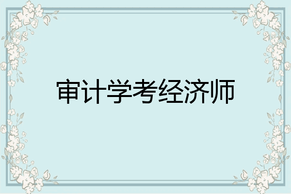 审计学考经济师