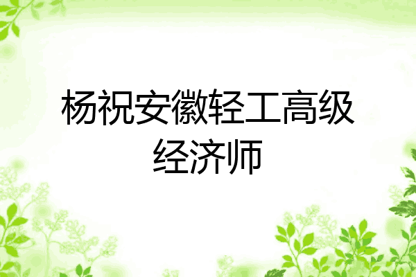 杨祝安徽轻工高级经济师