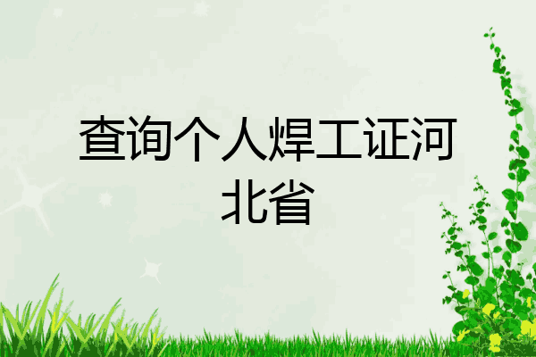 查询个人焊工证河北省