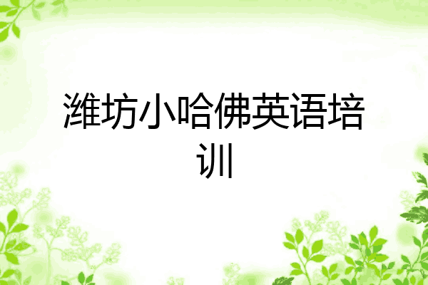 潍坊小哈佛英语培训
