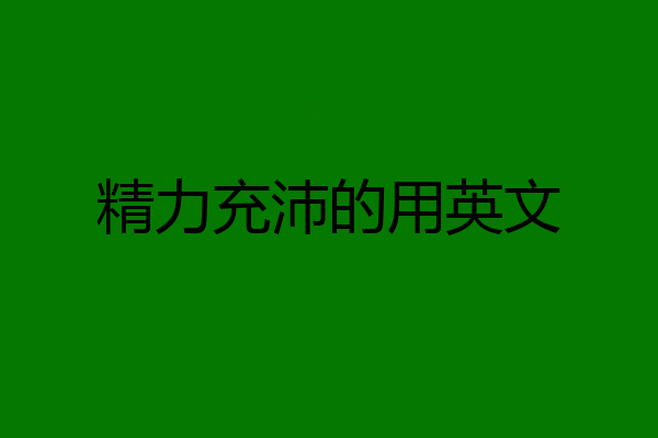 精力充沛的用英文
