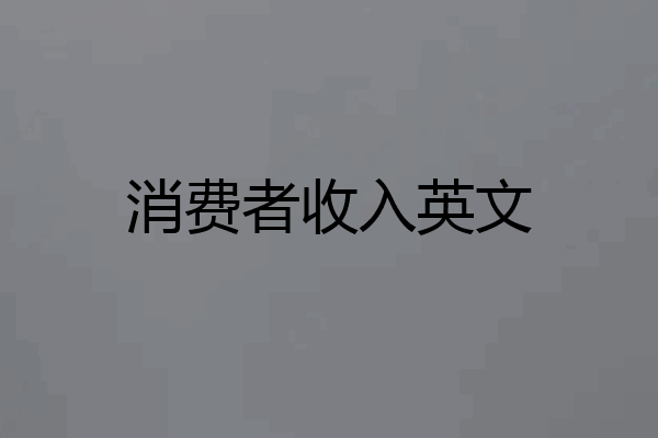 消费者收入英文