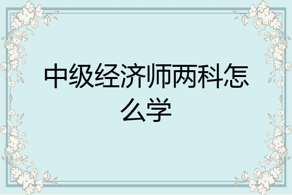 中级经济师两科怎么学