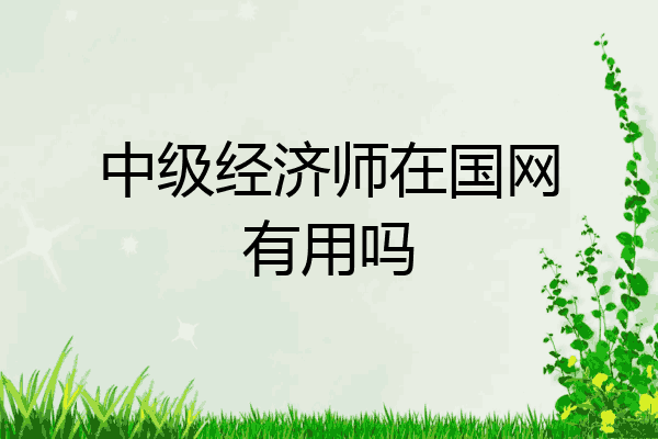 中级经济师在国网有用吗