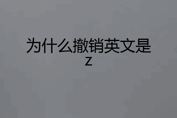 为什么撤销英文是z