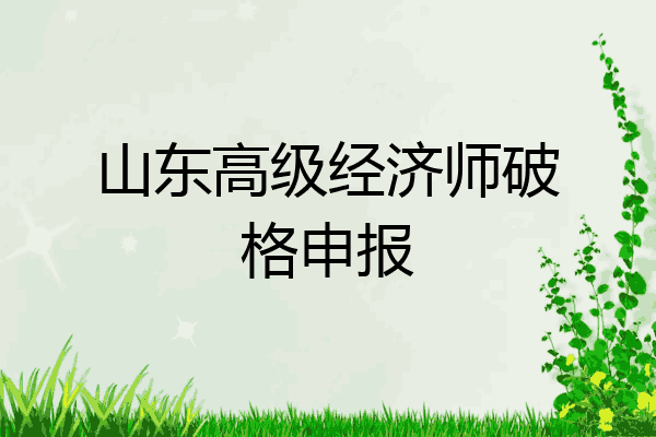 山东高级经济师破格申报