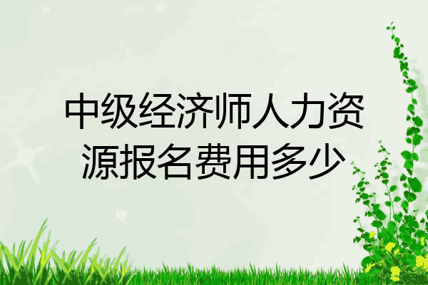 中级经济师人力资源报名费用多少