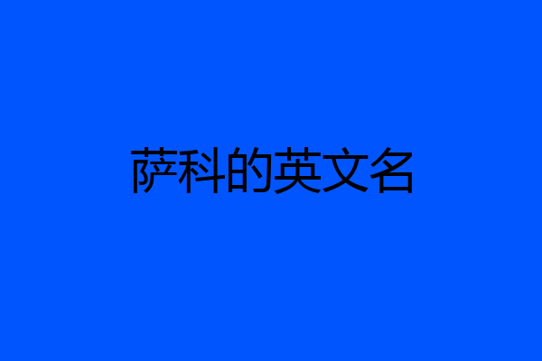 萨科的英文名