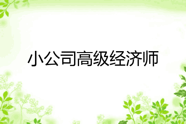 小公司高级经济师