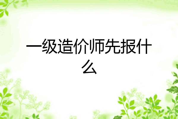 一级造价师先报什么