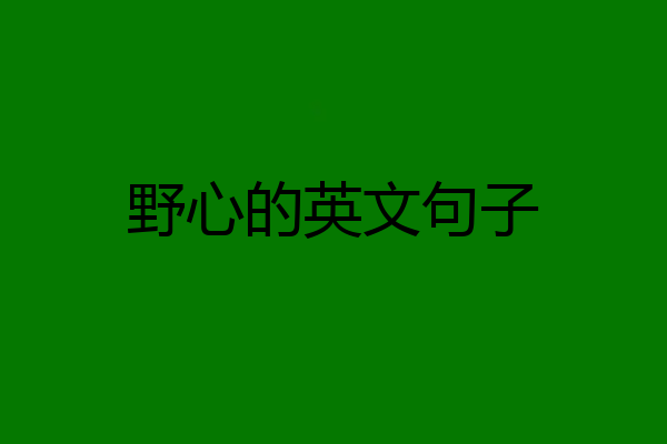 野心的英文句子