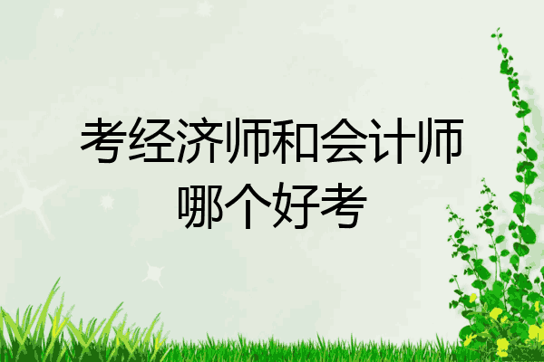 考经济师和会计师哪个好考