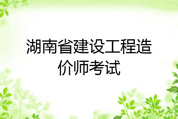 湖南省建设工程造价师考试