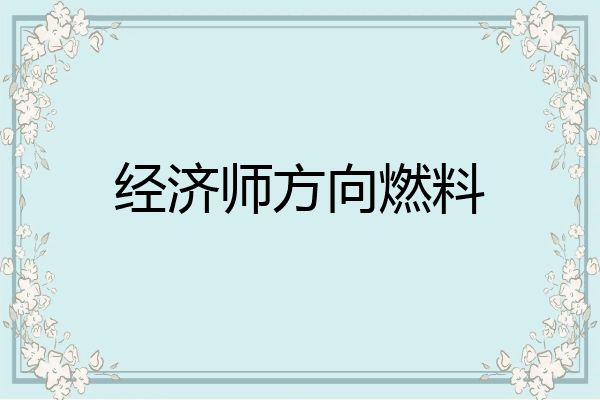 经济师方向燃料