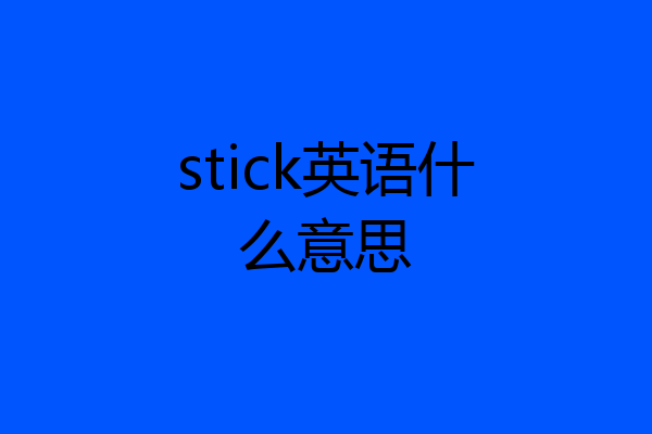 stick英语什么意思
