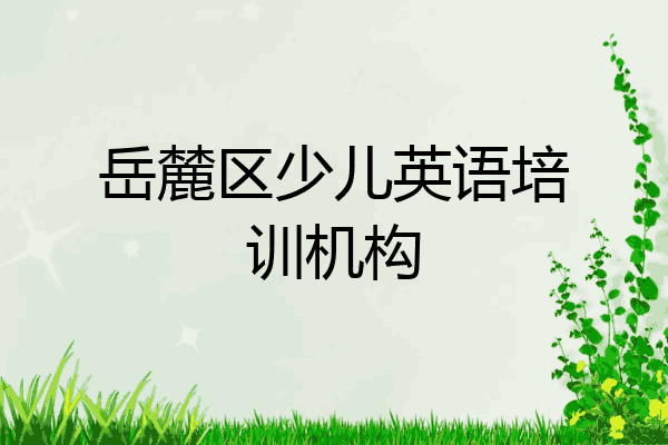 岳麓区少儿英语培训机构