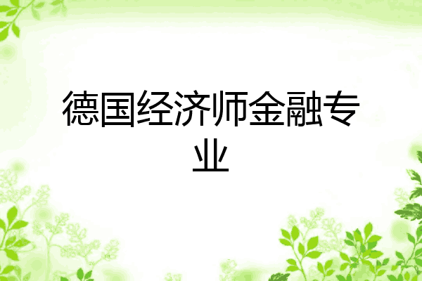 德国经济师金融专业