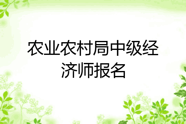 农业农村局中级经济师报名