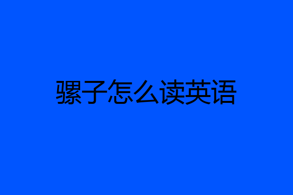 骡子怎么读英语