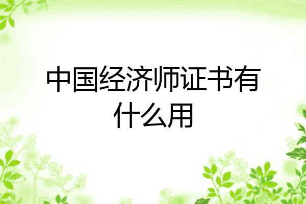 中国经济师证书有什么用