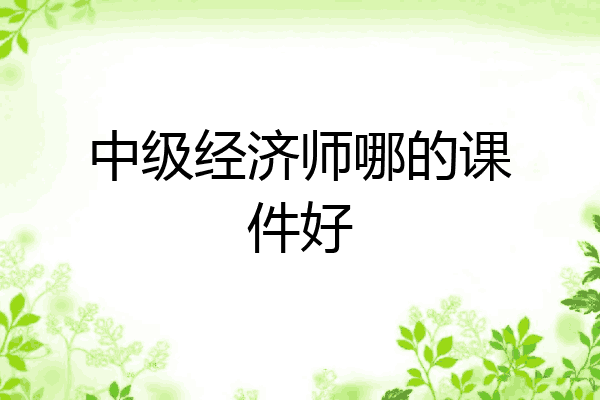 中级经济师哪的课件好