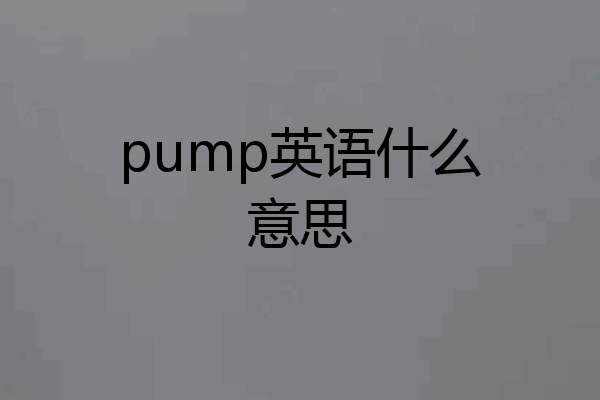 pump英语什么意思