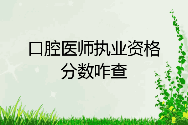 口腔医师执业资格分数咋查