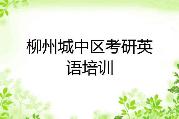 柳州城中区考研英语培训