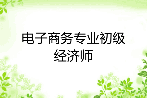 电子商务专业初级经济师