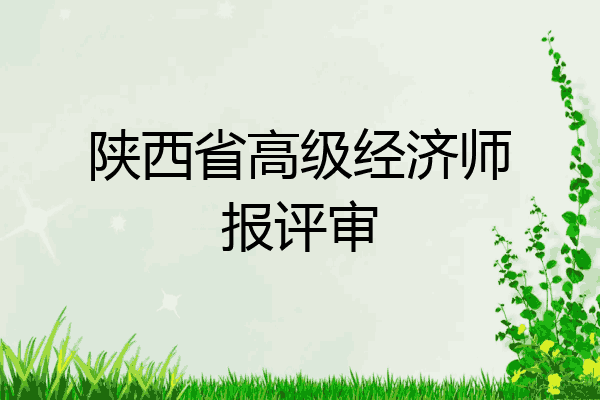 陕西省高级经济师报评审