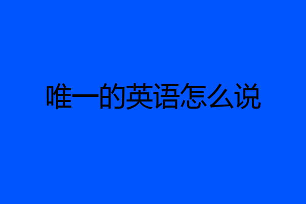 唯一的英语怎么说