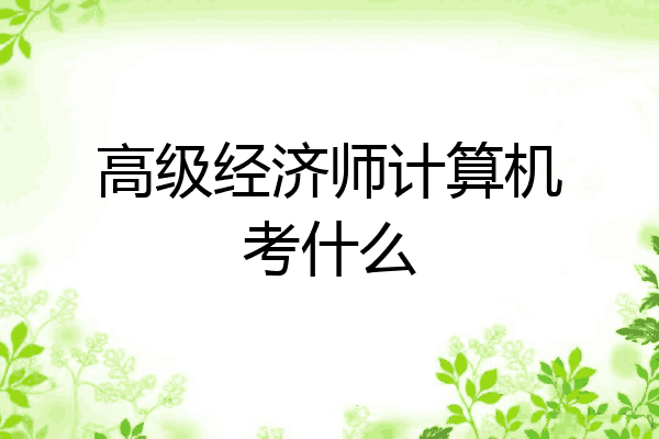 高级经济师计算机考什么