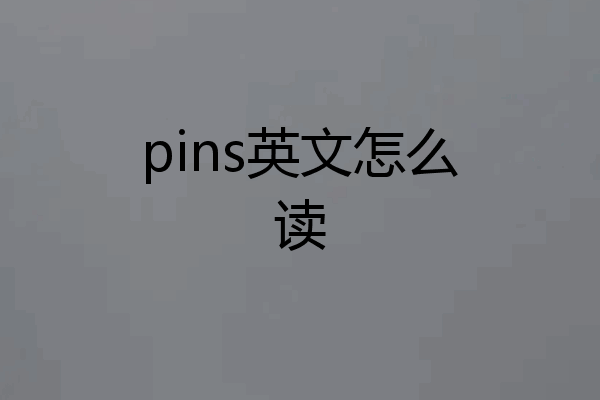 pins英文怎么读